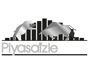 Piyasaizle.com