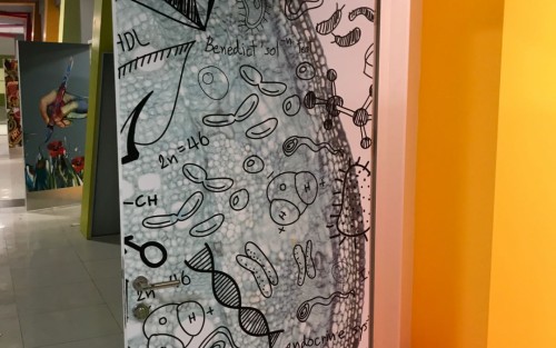 İÇ VE DIŞ MEKAN GİYDİRME